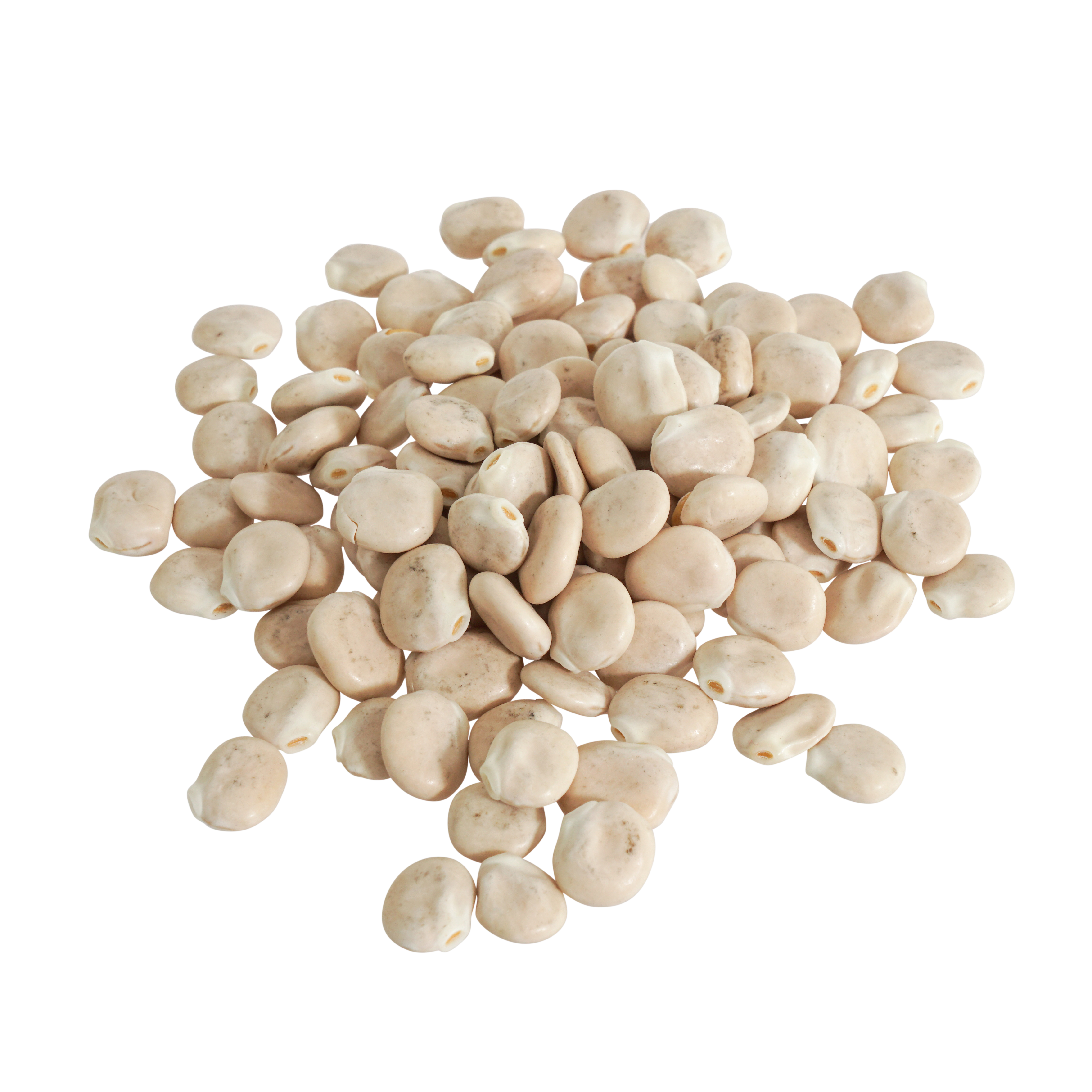 Weiße Lupinen Samen Bio 500 g